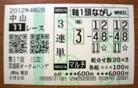 京成杯オータムハンデ2012的中