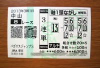 ペガサスジャンプＳ2013的中