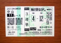 ニュージーランドＴ2013的中