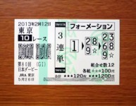 日本ダービー2013的中