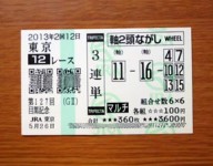 目黒記念2013的中 目黒記念2013的中