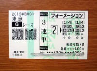 3回3日東京6レース的中