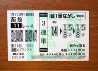 函館スプリントS2013 函館スプリントS2013