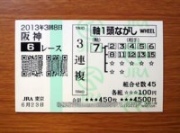 3回8日阪神6レース
