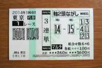 2014年1回4日東京1レース的中