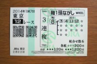 2014年1回7日東京12レース的中
