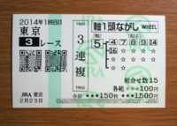 2014年1回8日東京3レース的中