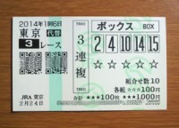 2014年1回6日東京3レース的中