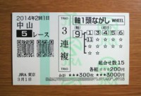 2014年2回1日中山5レース的中