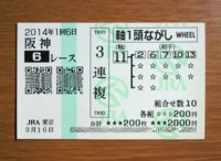 2014年1回6日阪神6レース的中