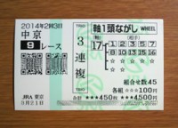2014年2回3日中京9レース的中