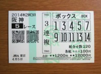 2014年2回3日阪神5レース