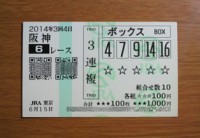 2014年3回4日阪神6レース的中