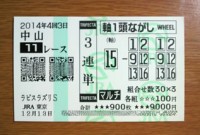 ラピスラズリＳ2014的中/競馬予想無料