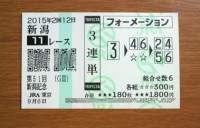 新潟記念2015的中/競馬予想無料