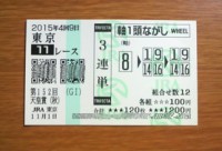 天皇賞秋2015的中/競馬予想無料プロ