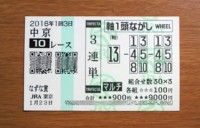 なずな賞2016的中/競馬予想無料