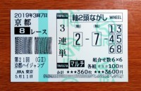 京都ハイジャンプ2019的中