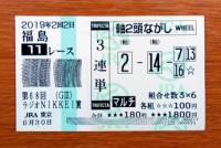 ラジオNIKKEI賞2019的中/競馬予想無料